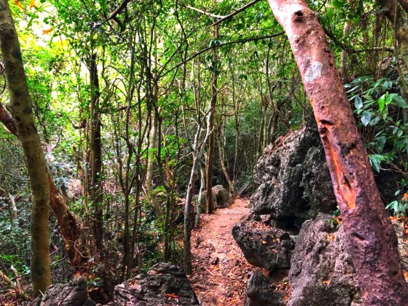 Khám phá thiên nhiên tuyệt đẹp đảo Cát Bà.