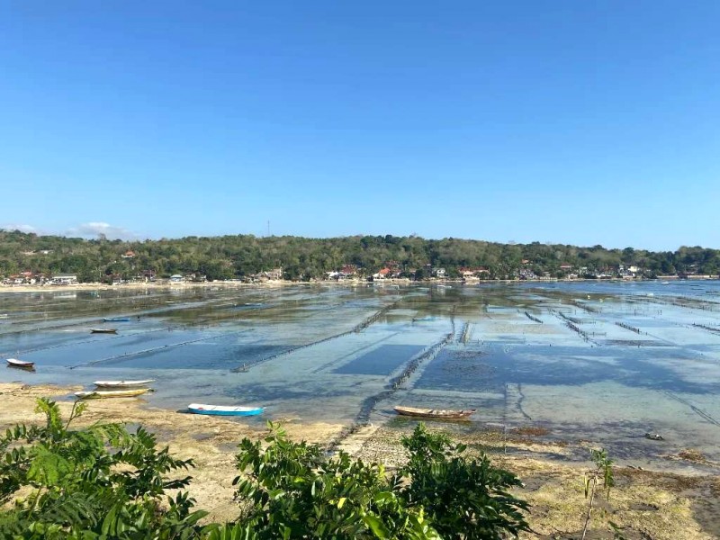 Nusa Lembongan: Viên ngọc Bali.