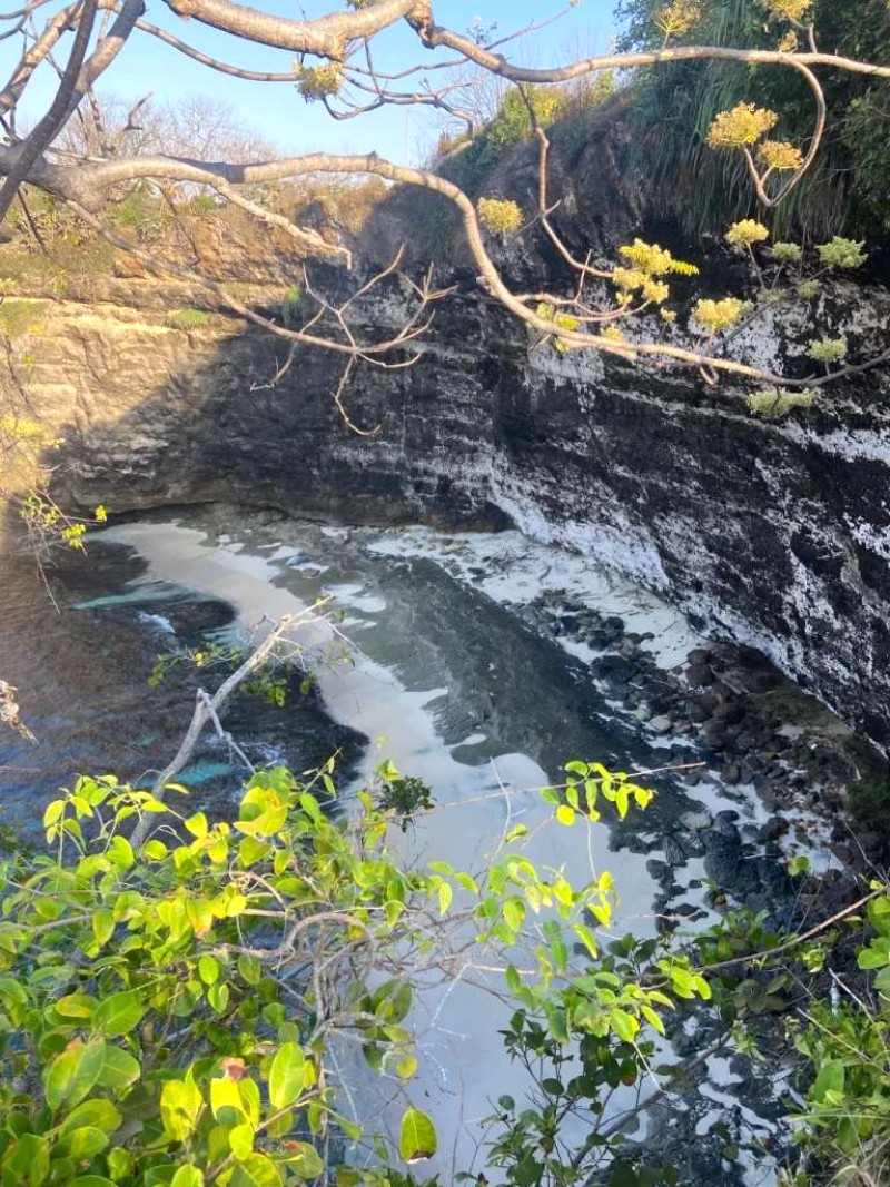 Khám phá Nusa Penida trong 1 ngày?