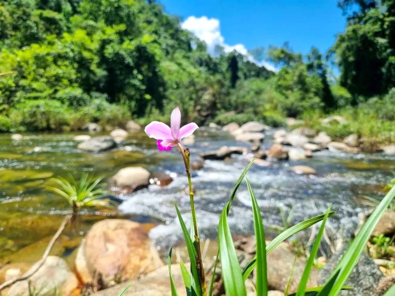 Thác Bảy Tầng: Vẻ đẹp hoang sơ biên giới.