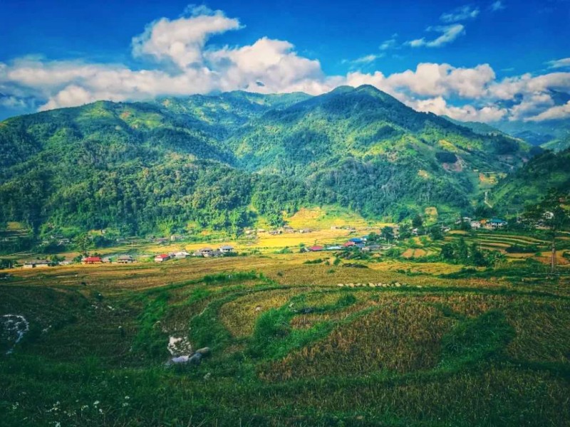 Bản Cu Vai: Làng mây bình yên.