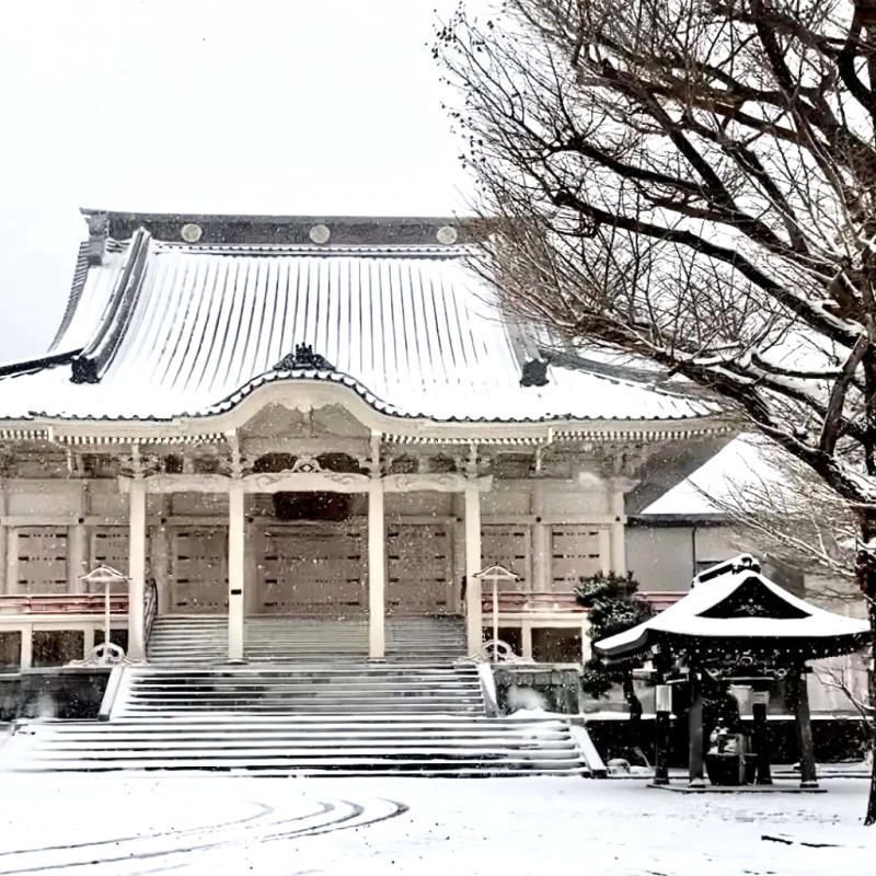 Hakodate: Hòn ngọc phía Nam Hokkaido