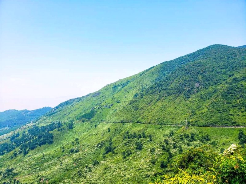 Khám phá đèo Cả, Hải Vân: Biển núi giao hòa.