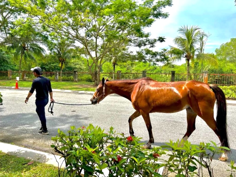 Putrajaya: Viên ngọc cạnh Kuala Lumpur.