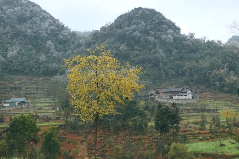 Băng giá Lao Xa mùa xuân