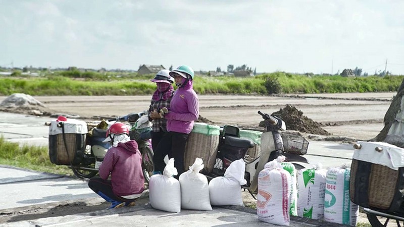 Hoá thân thành diêm dân giữa cánh đồng muối Bạch Long.