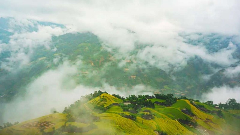 Hà Giang: Bản Phùng vàng rực.