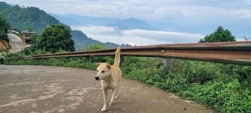 Khám phá văn hóa Suối Giàng, Yên Bái