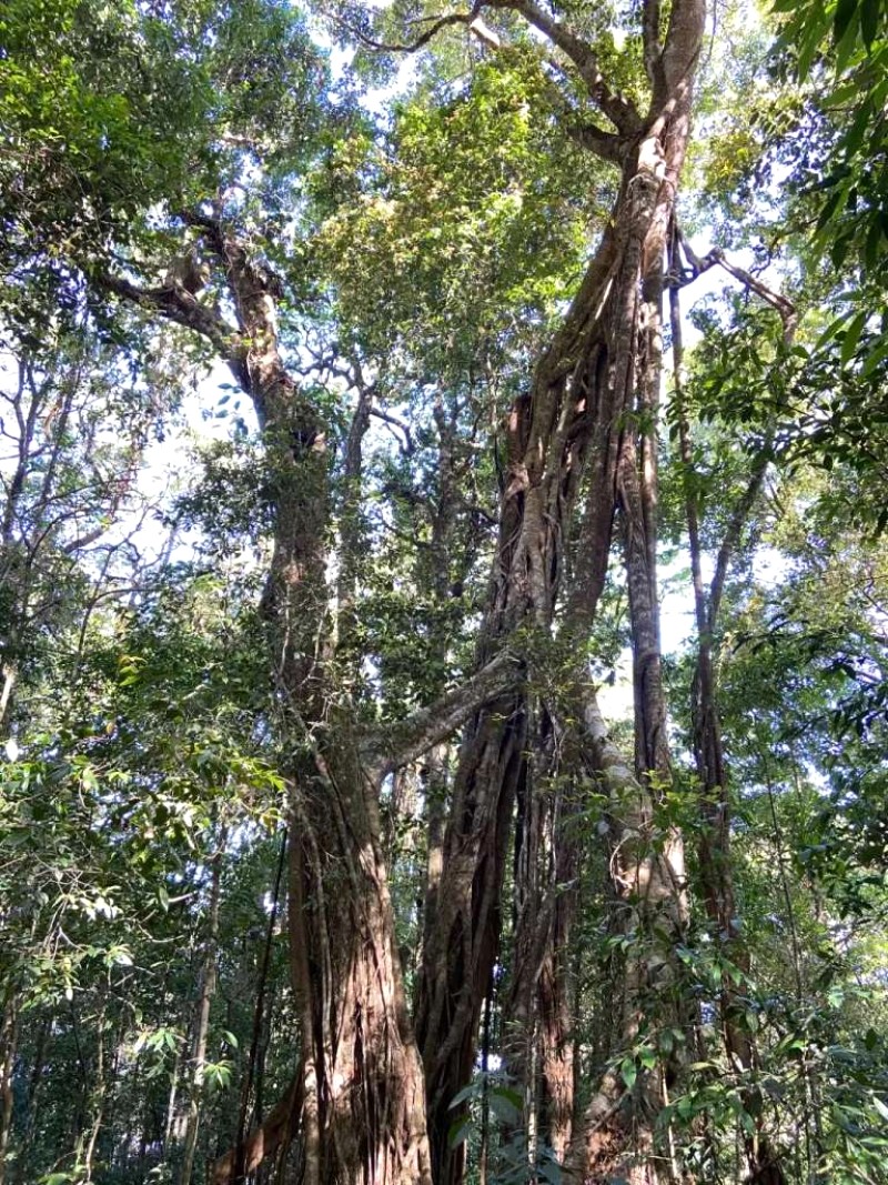 Trekking Đam Rông: Hành trình lương thực