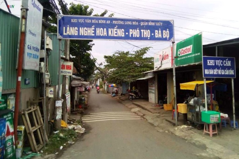 Làng hoa Bà Bộ: 100 năm sắc hoa rực rỡ.