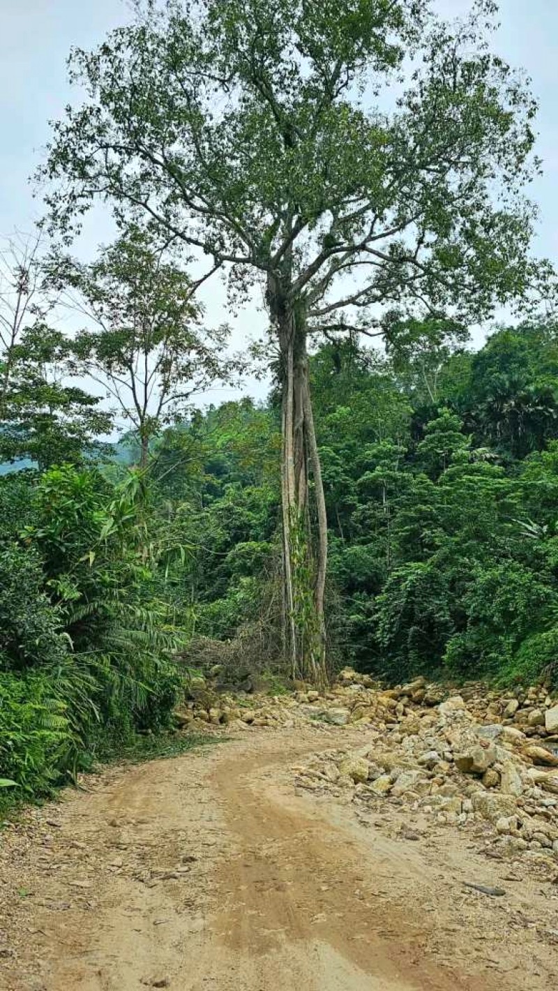 Tân Lập (Hà Giang): Nét đẹp ẩn mình.