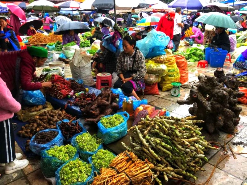 Khám phá Bắc Hà - Lào Cai cuối tuần