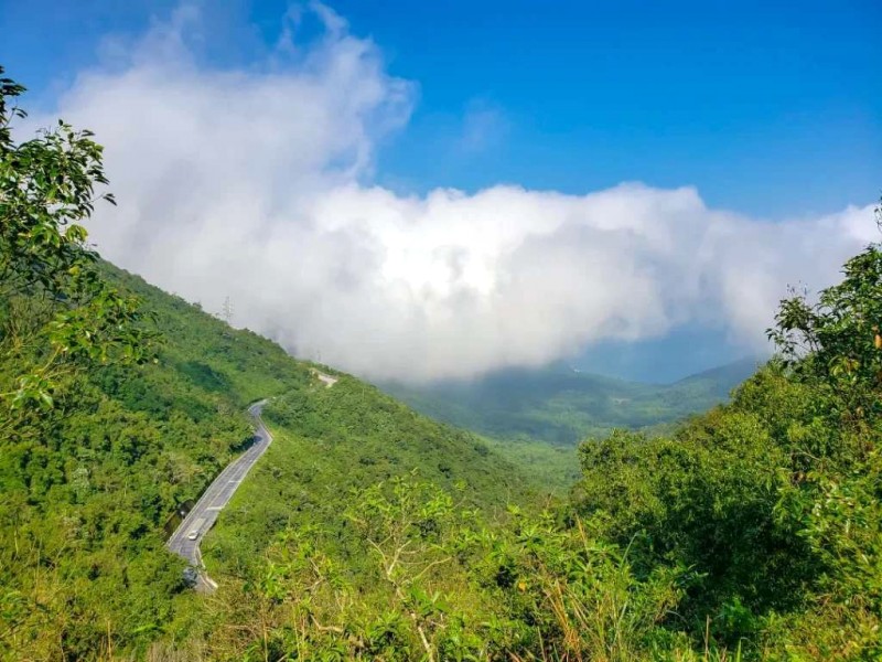 Khám phá đèo Cả - Hải Vân: Nơi biển núi giao hòa.