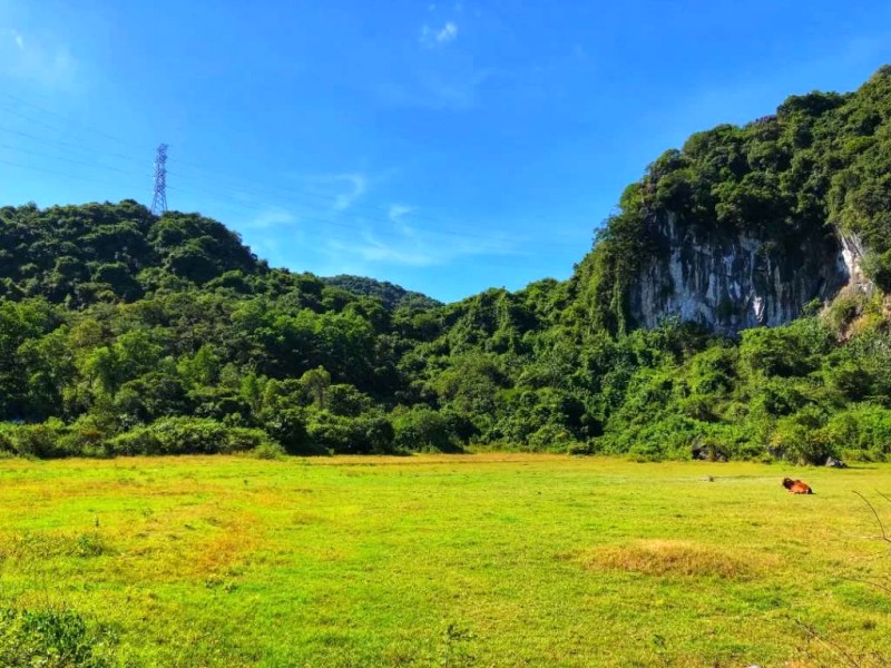 Khám phá thiên nhiên tuyệt đẹp ở Cát Bà!