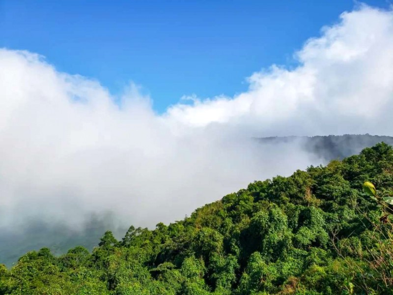Khám phá đèo Cả, Hải Vân: Nơi biển núi giao hòa.