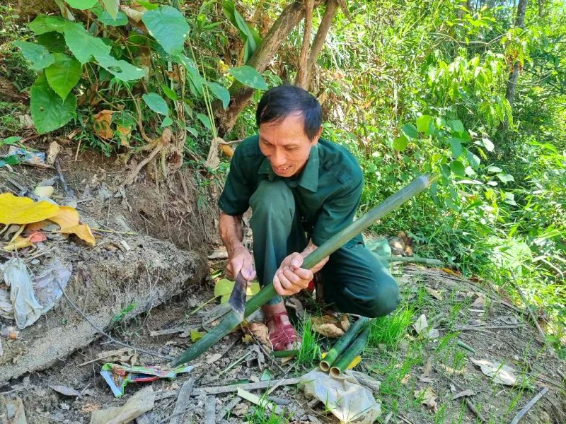 Thác Bảy Tầng: Vẻ đẹp hoang sơ giữa núi rừng.