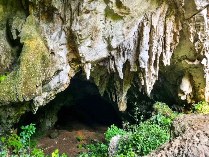 Khám phá Quỳ Châu: Hang động Karst & thác nước hoang sơ.