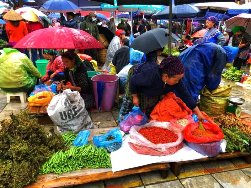 Cuối tuần ở Bắc Hà - Lào Cai