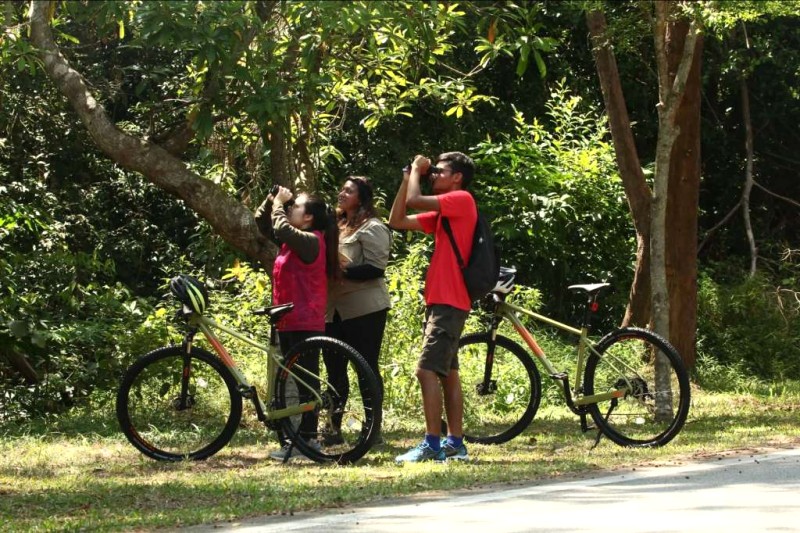 Phiêu lưu 7 ngày tại Johor Bahru: Vui chơi, ẩm thực, thư giãn.