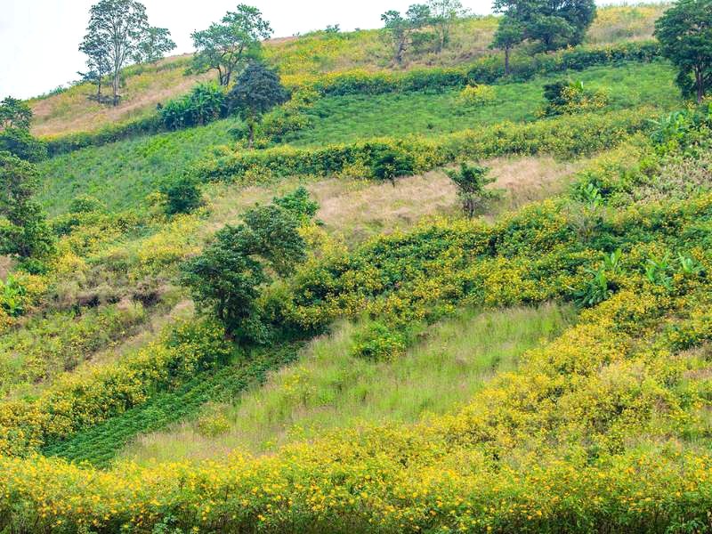 Biển hồ Gia Lai: Mắt xanh Pleiku.