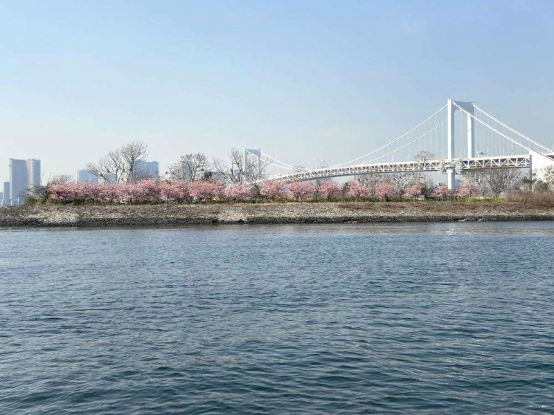 Odaiba: Hòn đảo nhân tạo giữa vịnh Tokyo.