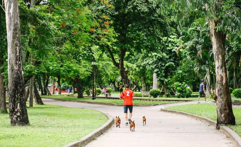 Công viên Thống Nhất: Ngày cuối tuần lý tưởng!