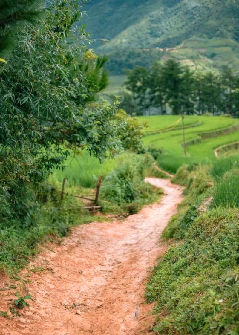 Đồi Móng Ngựa, Mù Cang Chải: Thiên nhiên tuyệt đẹp, trải nghiệm khó quên.