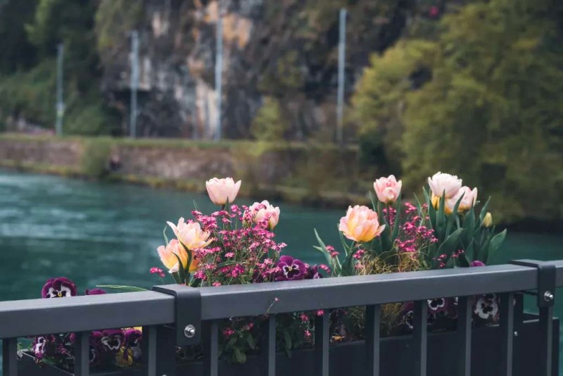 Khám phá Thụy Sĩ: Funicular & làng quê