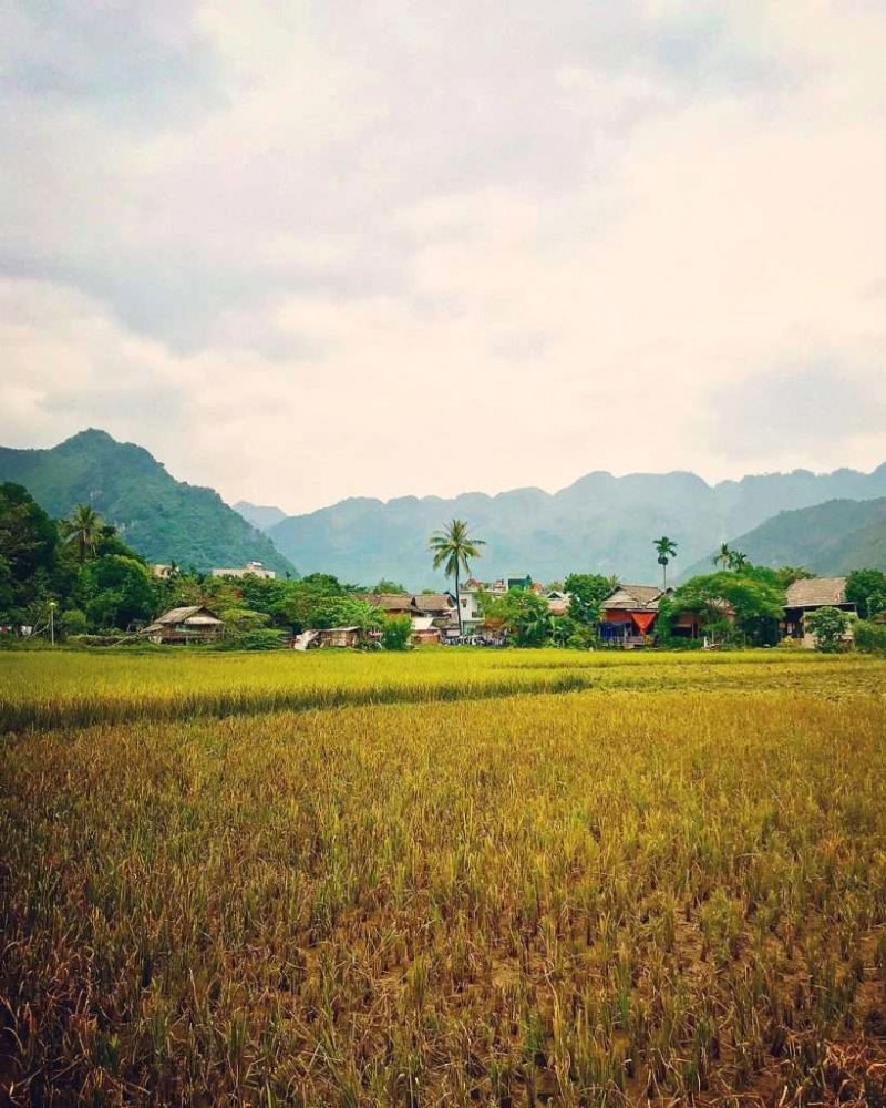 Bản Lác Mai Châu: Yên bình say đắm lòng người.