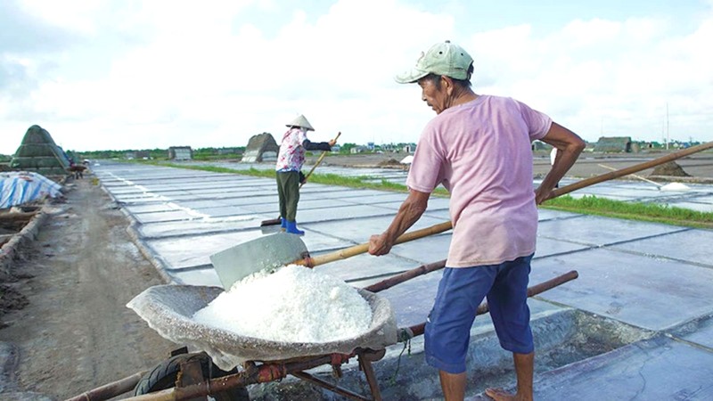 Hóa thân diêm dân, lạc vào trắng muốt Bạch Long.