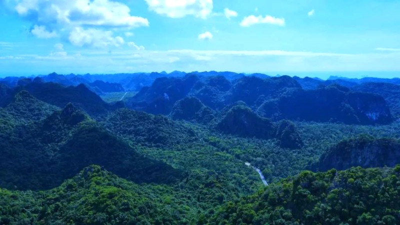 Khám phá thiên nhiên tuyệt đẹp đảo Cát Bà.