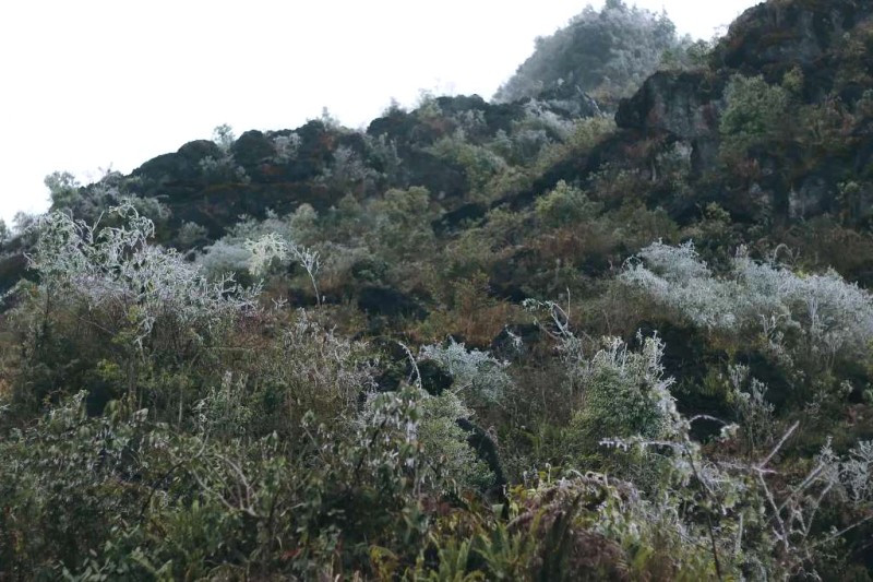 Băng giá mùa xuân Lao Xa, Hà Giang