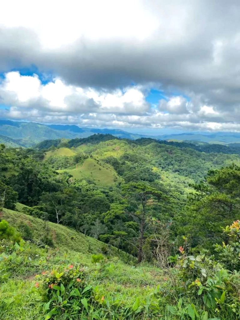 Trekking Tà Năng Phan Dũng: Mùa cỏ xanh, thiên nhiên trong lành.