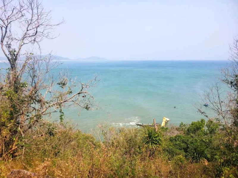 Khám phá đèo Cả - Hải Vân: Nơi biển và núi hòa quyện.