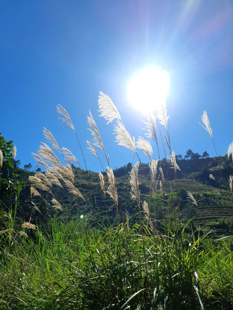 Bản Công - tiên cảnh Yên Bái.