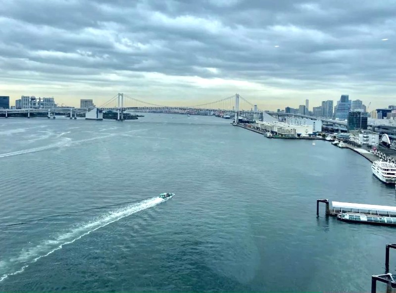 InterContinental Tokyo Bay: Vẻ đẹp vịnh Tokyo.