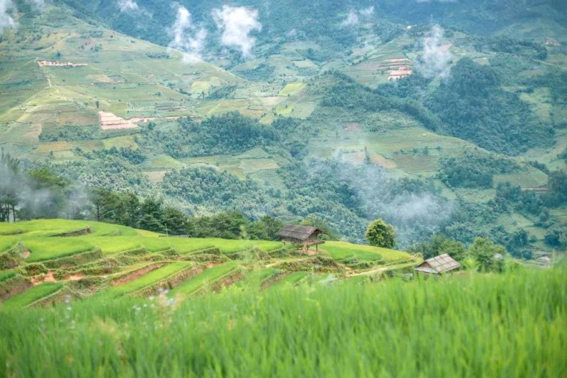 Đồi Móng Ngựa - Không gian thiên nhiên tuyệt đẹp tại Mù Cang Chải.