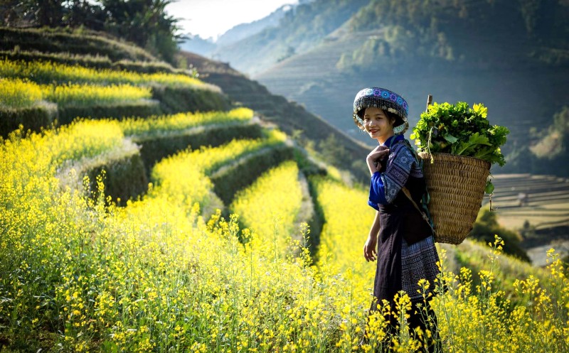 Mẹo du lịch mùa nắng nóng đỉnh cao!