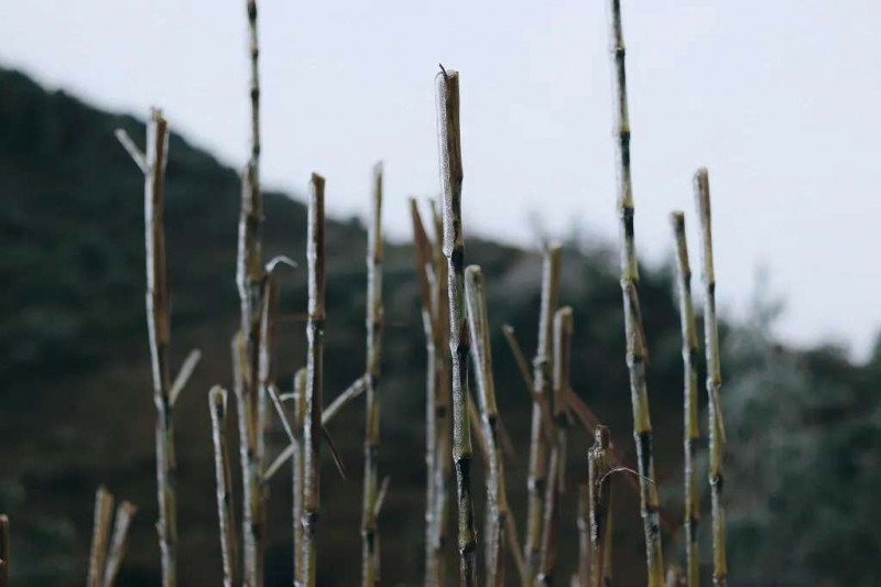 Băng giá Lao Xa mùa xuân