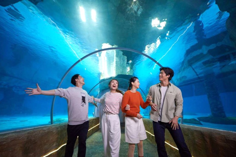 Cuộc phiêu lưu khó quên tại Ocean Park Hong Kong!