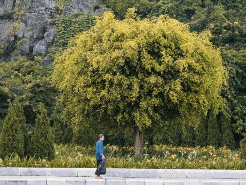 5 địa điểm check-in Hạ Long đẹp như mơ 🏞️