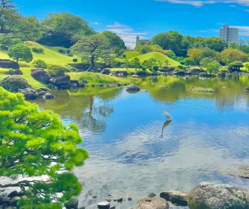 Suizenji Jojuen: Tiên cảnh Kumamoto