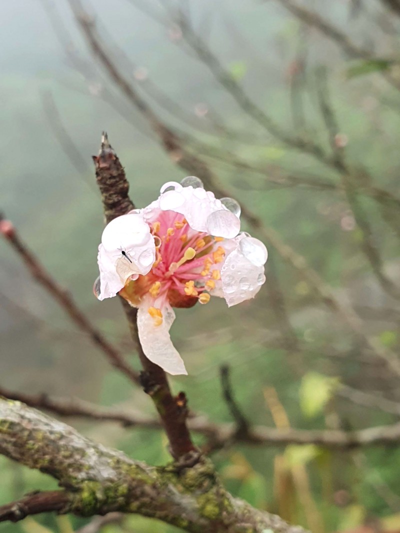 Bản Công - tiên cảnh giữa núi rừng.