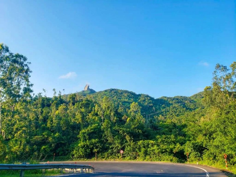 Khám phá đèo Cả, Hải Vân: Nơi biển núi giao hòa.