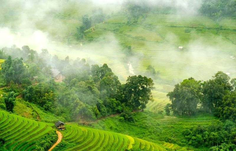 Du lịch mùa mưa an toàn, vui hết nấc!