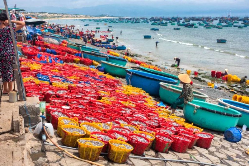 Tuy Phong: Biển đẹp, nắng vàng.