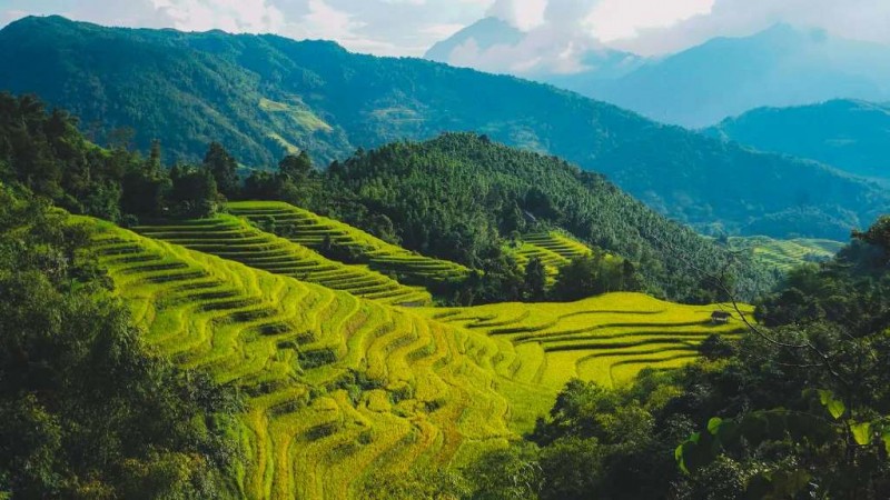 Hà Giang: Bản Phùng vàng rực.