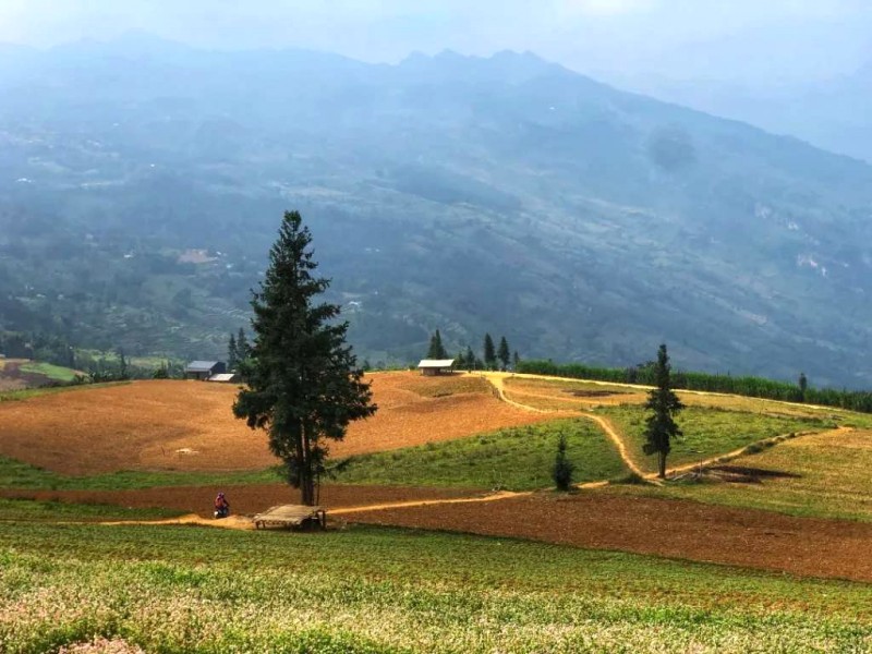 Suối Thầu: Thảo nguyên thơ mộng, chinh phục dễ dàng.