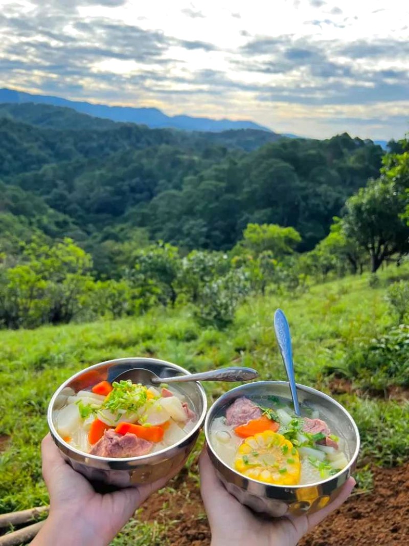 Trekking Tà Năng Phan Dũng mùa cỏ xanh - Thiên nhiên trong lành