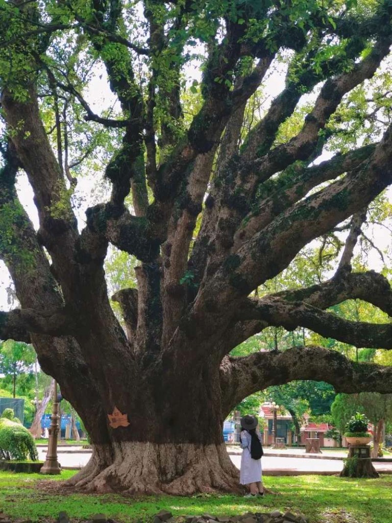 Tìm về an yên Tây Nguyên: 3 địa điểm check-in lý tưởng.